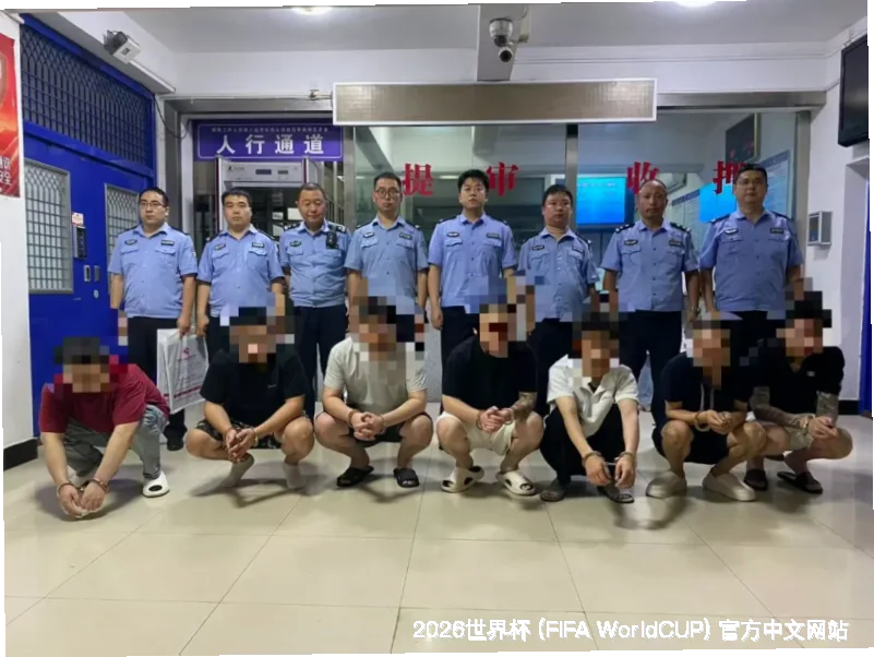 核心团队：数据与情怀的交汇